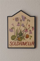 soldanella