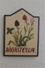 nigritella